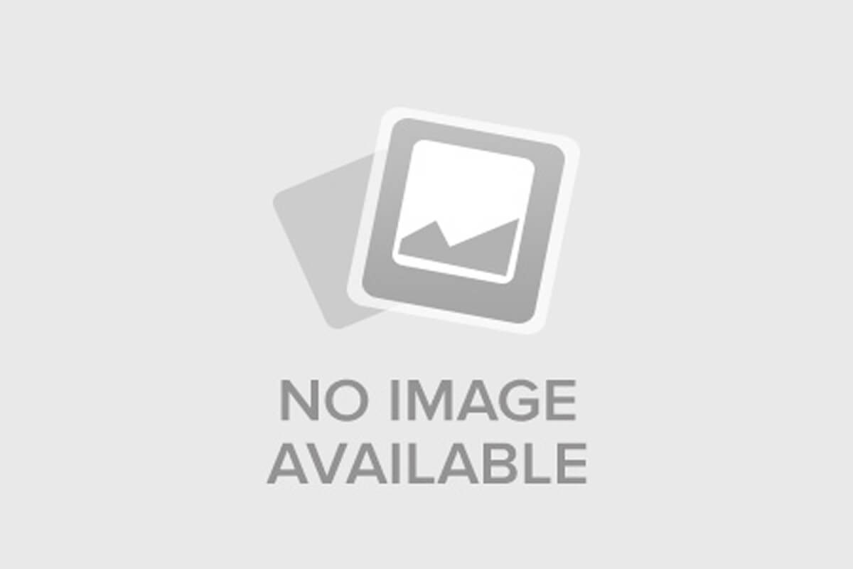 Элайджа Вуд исполнит главную роль в фильме «Я иду искать 2»